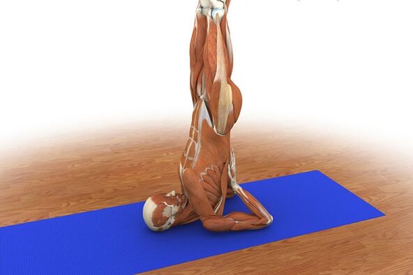 Exercițiu pentru potență „Mesteacăn”